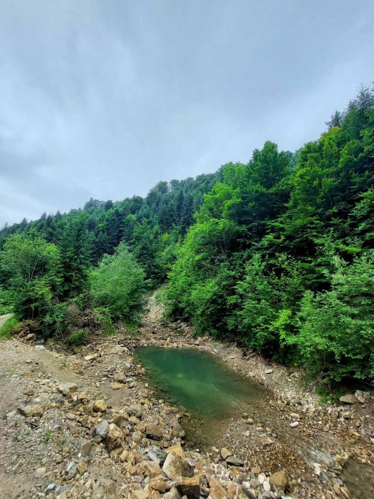 Садиба Кичера Petrashi Zimmer foto